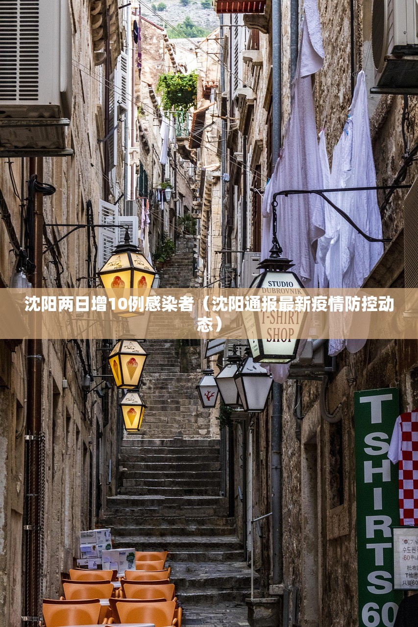 沈阳两日增10例感染者（沈阳通报最新疫情防控动态）