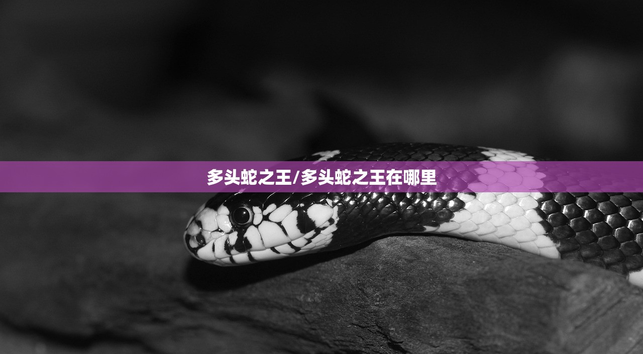 多头蛇之王/多头蛇之王在哪里