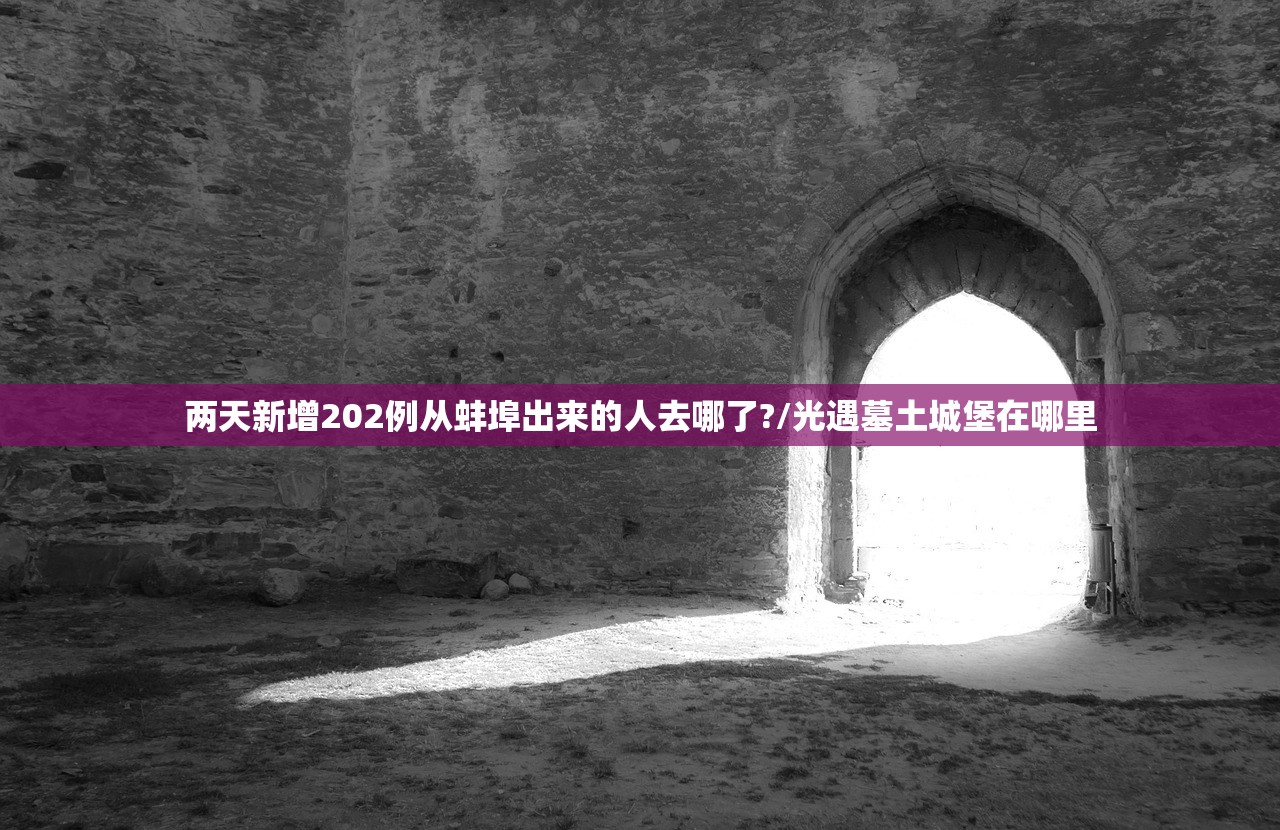 两天新增202例从蚌埠出来的人去哪了?/光遇墓土城堡在哪里