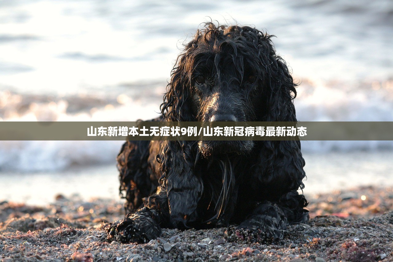 山东新增本土无症状9例/山东新冠病毒最新动态