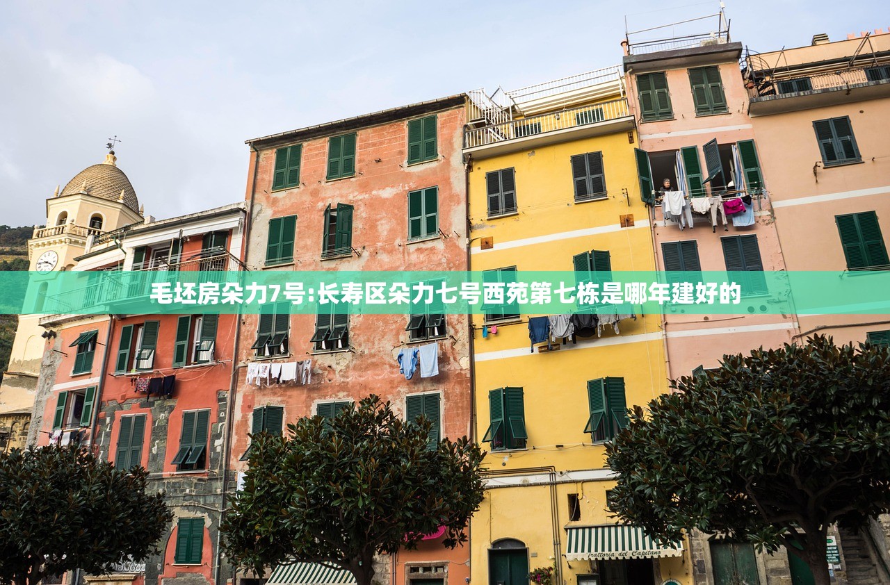 毛坯房朵力7号:长寿区朵力七号西苑第七栋是哪年建好的