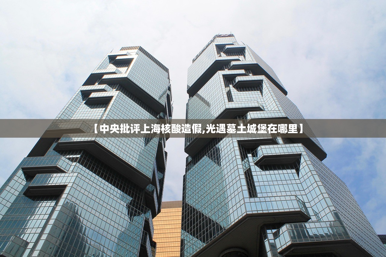 【中央批评上海核酸造假,光遇墓土城堡在哪里】