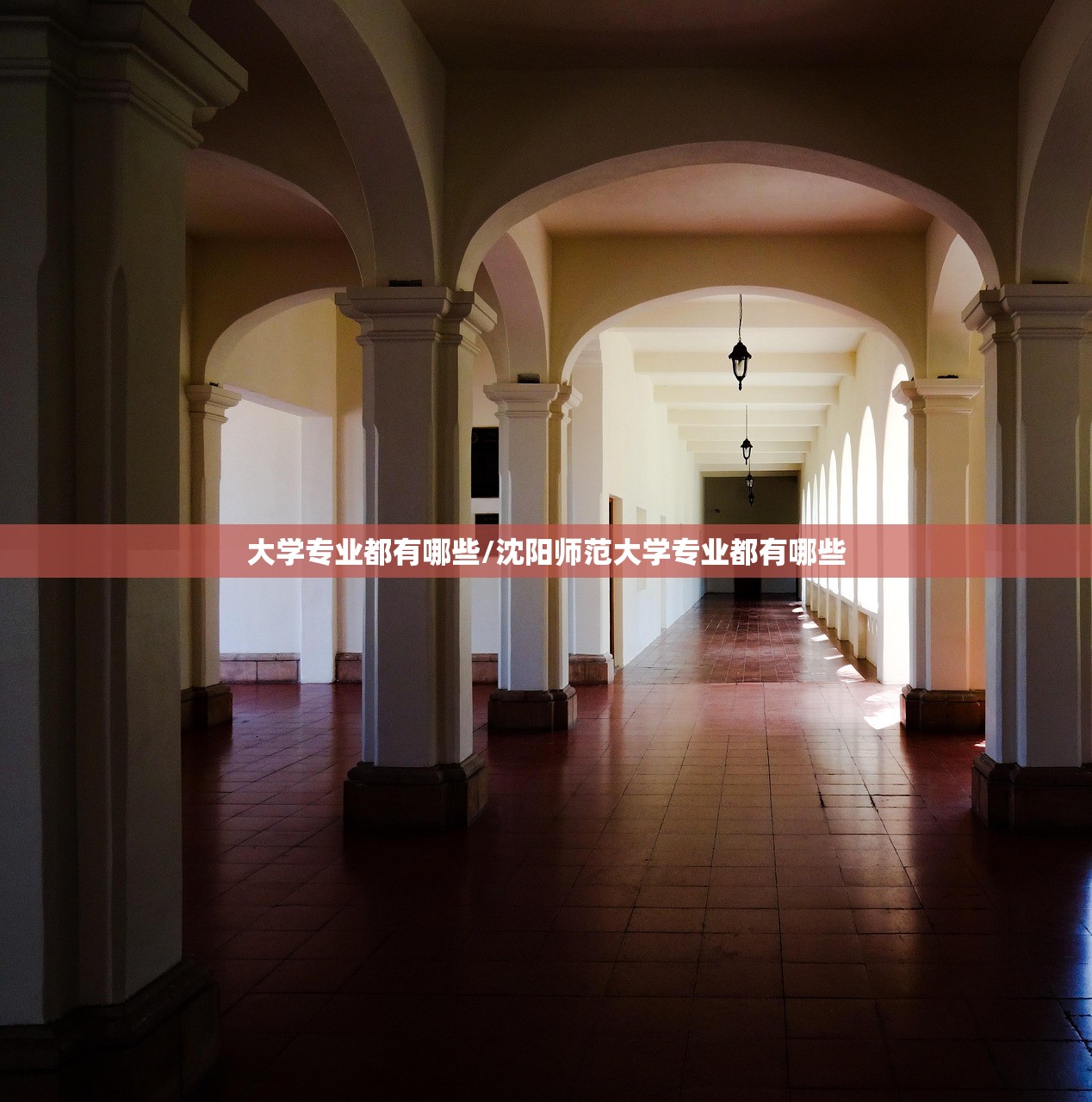 大学专业都有哪些/沈阳师范大学专业都有哪些 大学专业都有哪些/沈阳师范大学专业都有哪些