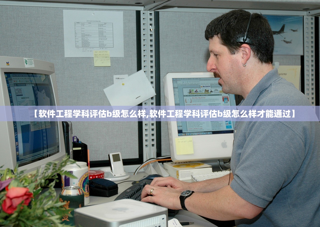 【软件工程学科评估b级怎么样,软件工程学科评估b级怎么样才能通过】