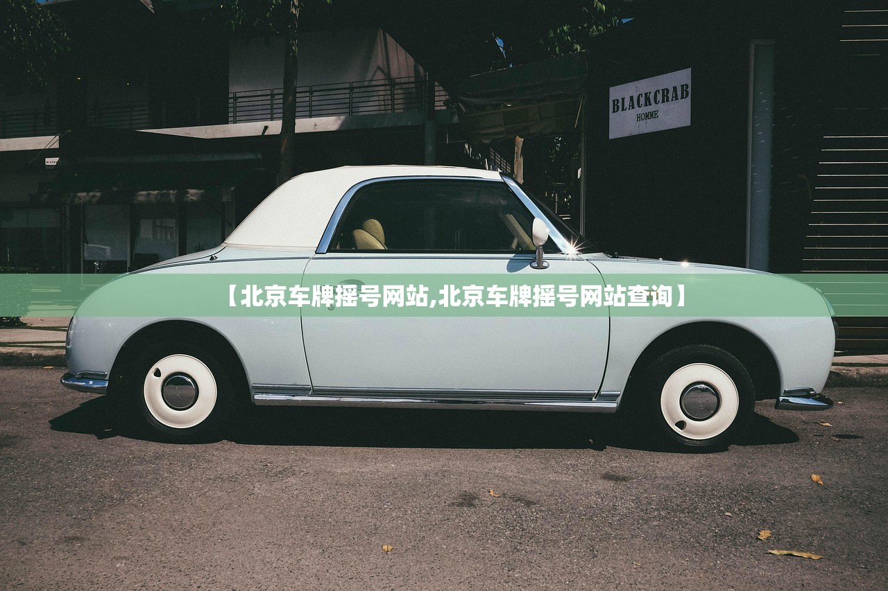 【北京车牌摇号网站,北京车牌摇号网站查询】