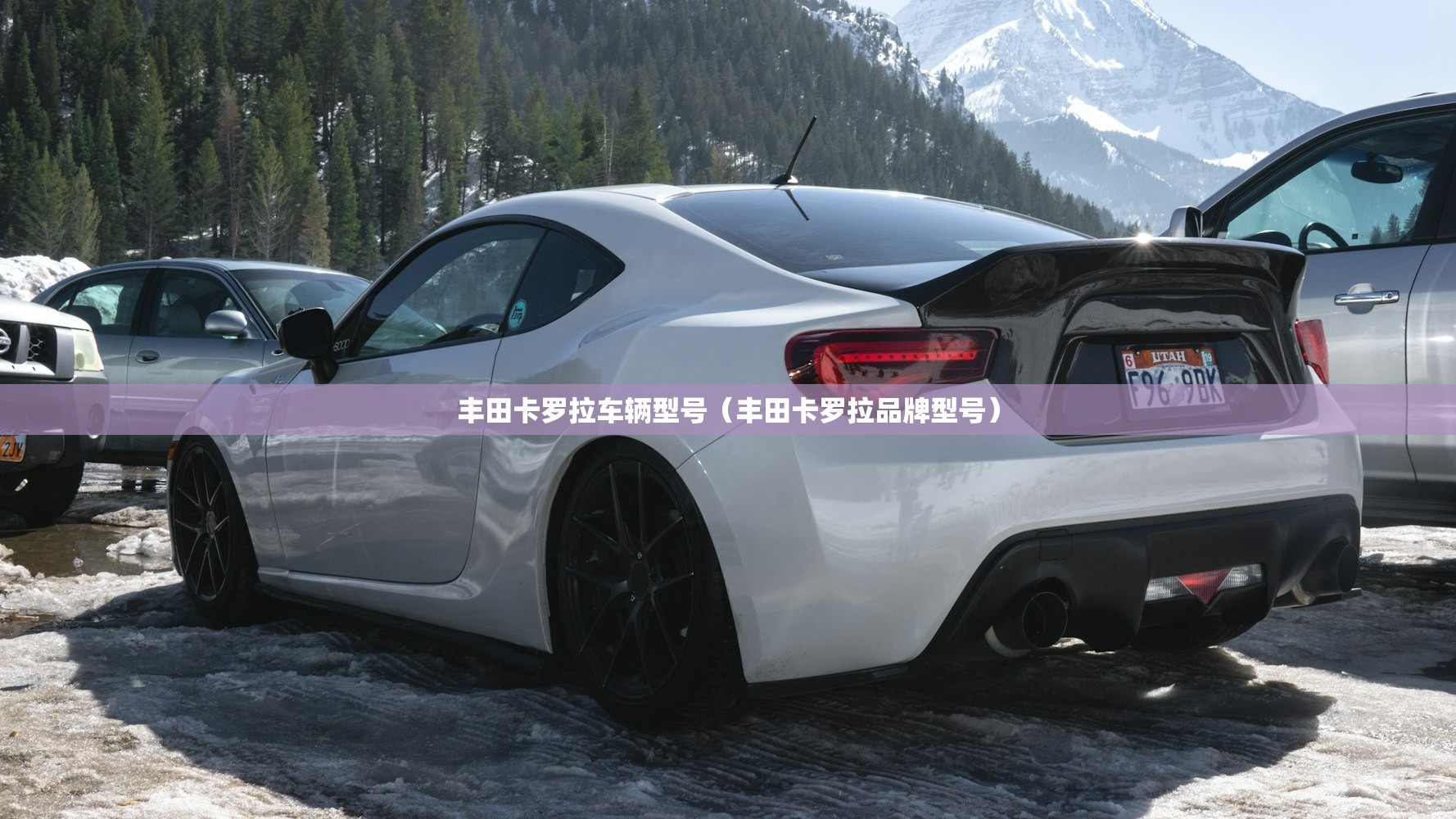 丰田卡罗拉车辆型号（丰田卡罗拉品牌型号）