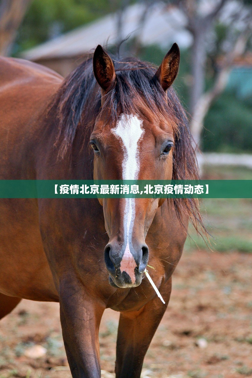 【疫情北京最新消息,北京疫情动态】