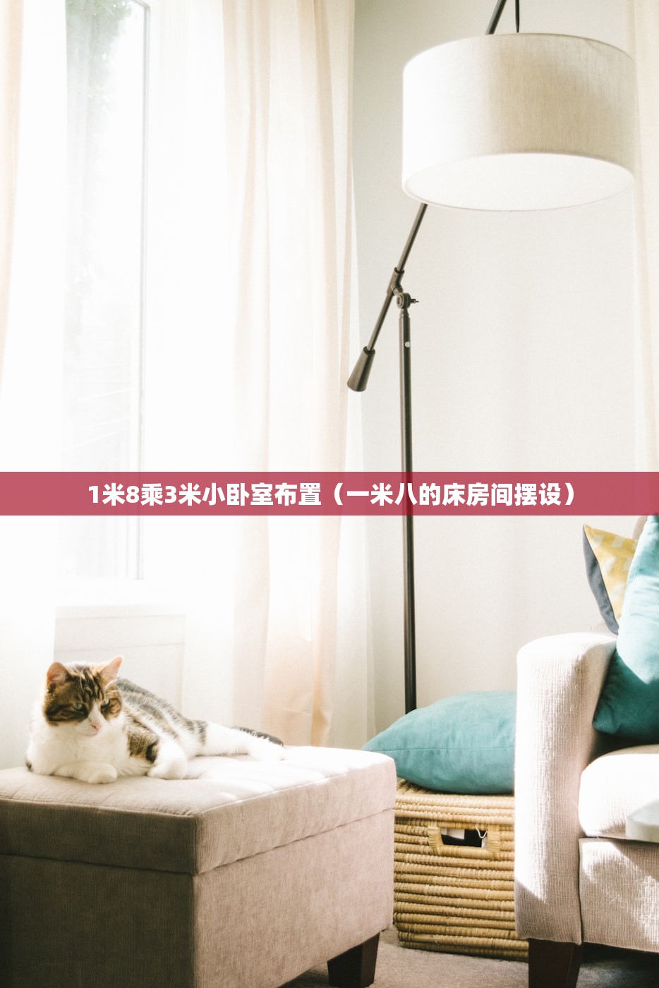 1米8乘3米小卧室布置（一米八的床房间摆设）