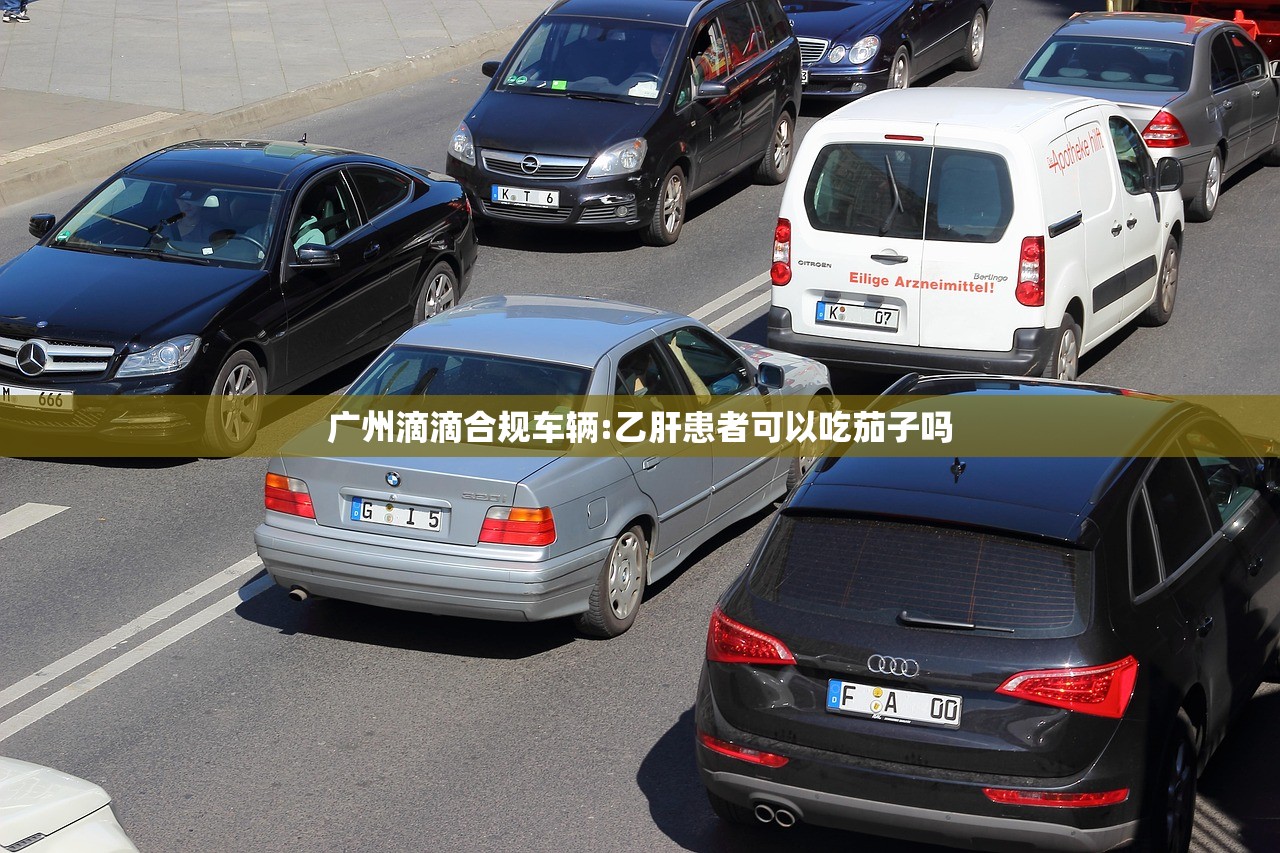 广州滴滴合规车辆:乙肝患者可以吃茄子吗