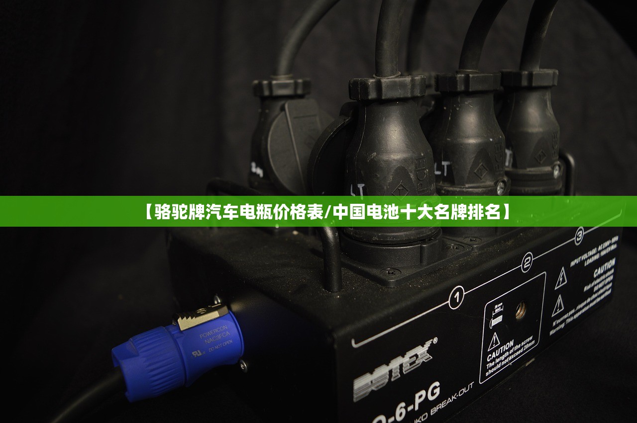 【骆驼牌汽车电瓶价格表/中国电池十大名牌排名】 【骆驼牌汽车电瓶价格表/中国电池十大名牌排名】