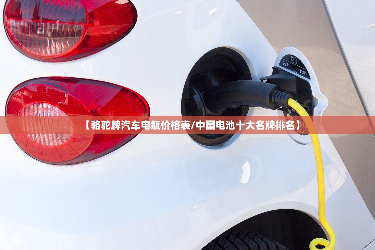 【骆驼牌汽车电瓶价格表/中国电池十大名牌排名】 【骆驼牌汽车电瓶价格表/中国电池十大名牌排名】