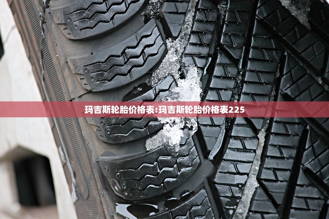玛吉斯轮胎价格表:玛吉斯轮胎价格表225