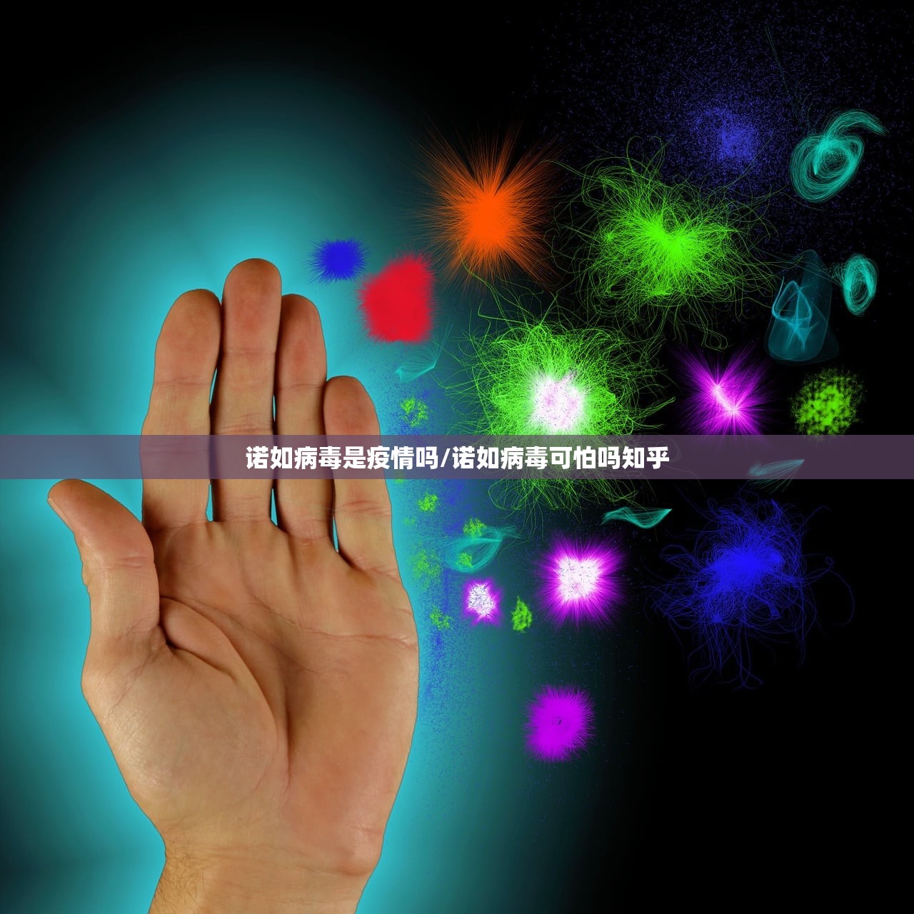 诺如病毒是疫情吗/诺如病毒可怕吗知乎