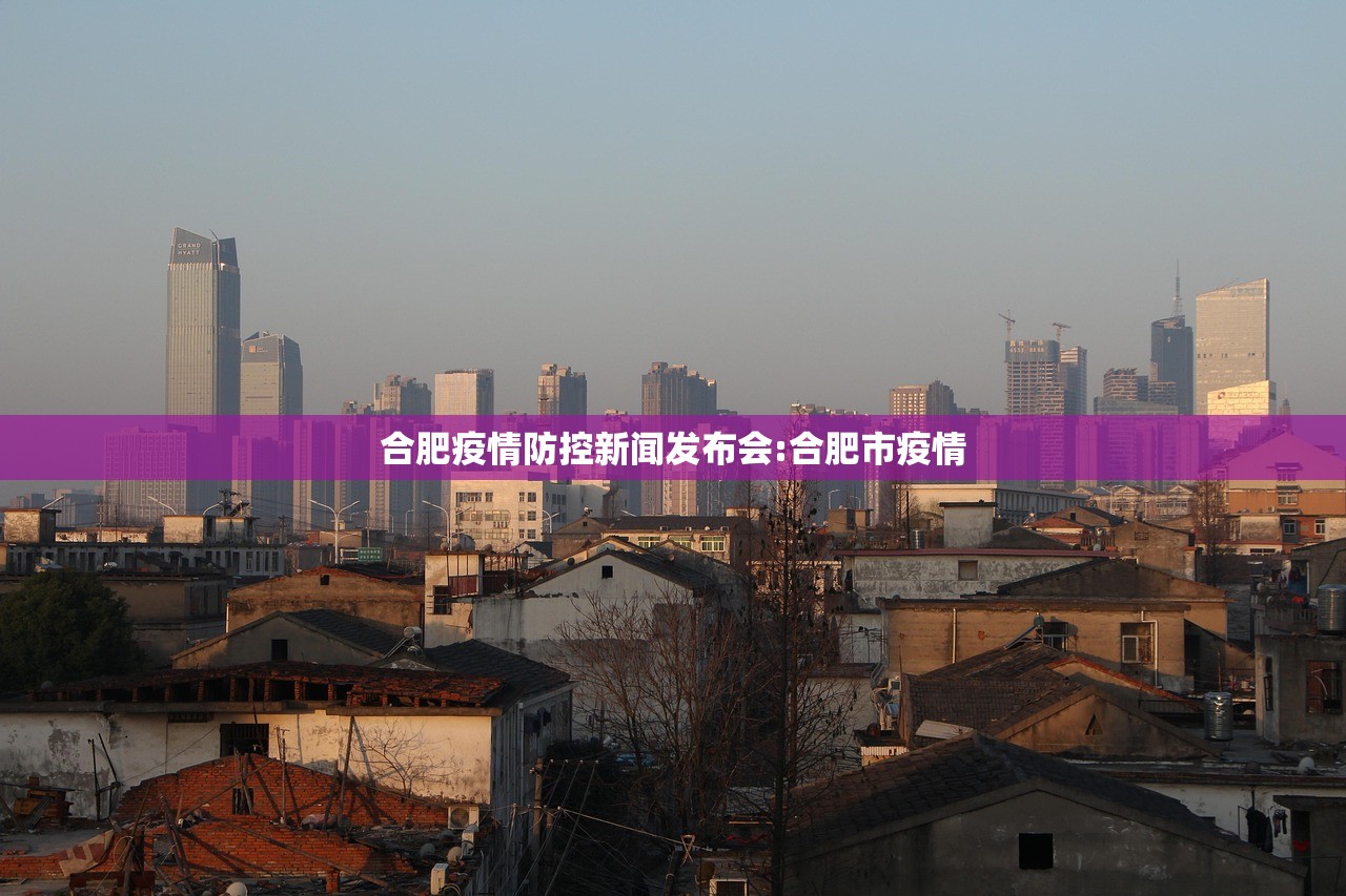 合肥疫情防控新闻发布会:合肥市疫情 合肥疫情防控新闻发布会:合肥市疫情