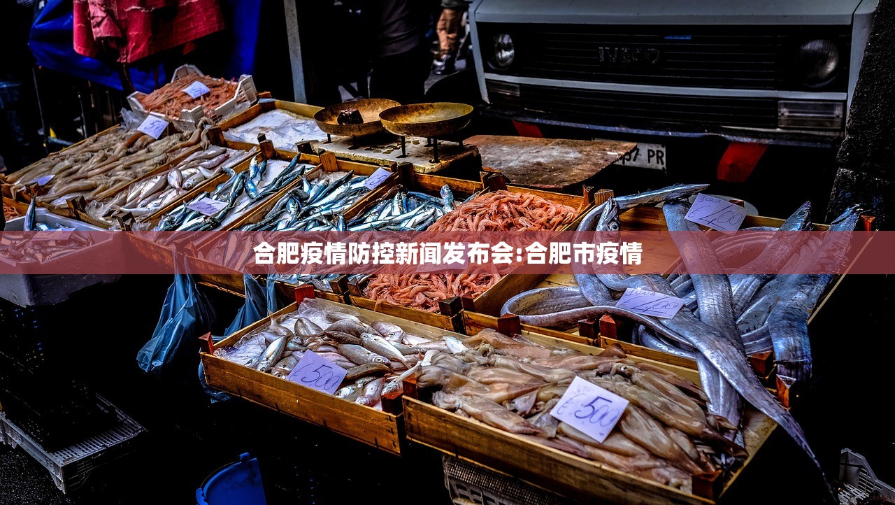 合肥疫情防控新闻发布会:合肥市疫情 合肥疫情防控新闻发布会:合肥市疫情