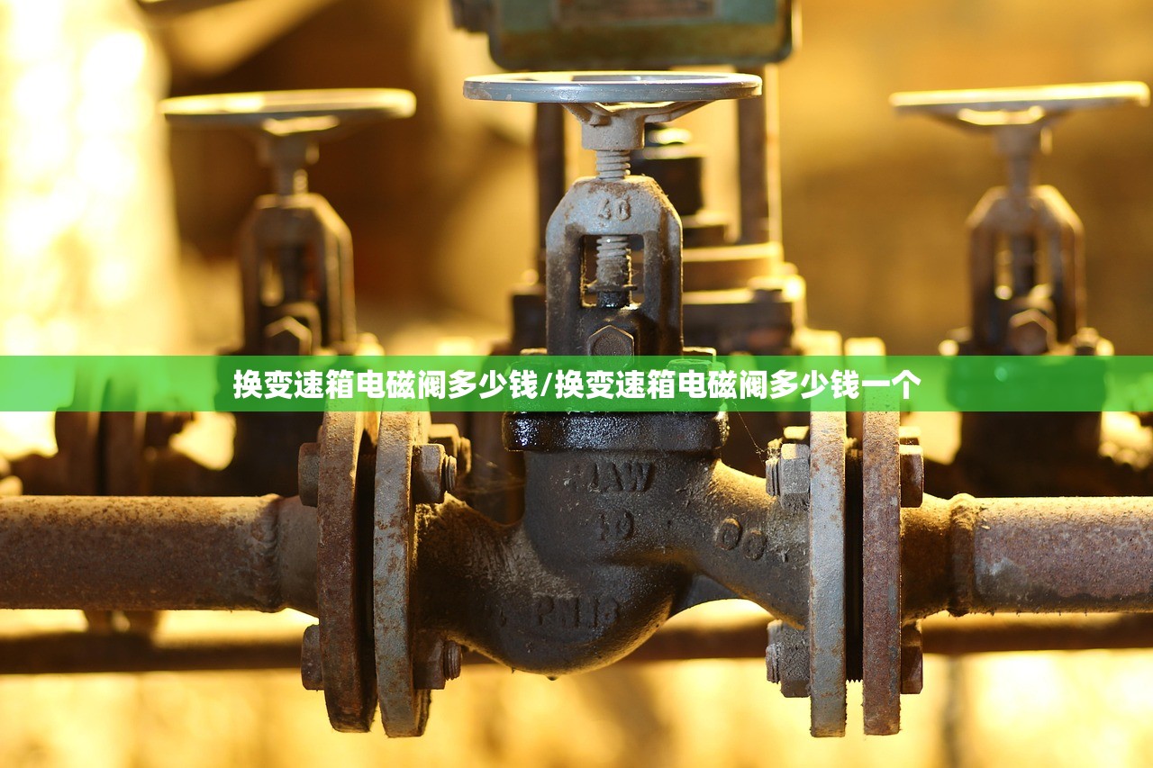 换变速箱电磁阀多少钱/换变速箱电磁阀多少钱一个 换变速箱电磁阀多少钱/换变速箱电磁阀多少钱一个