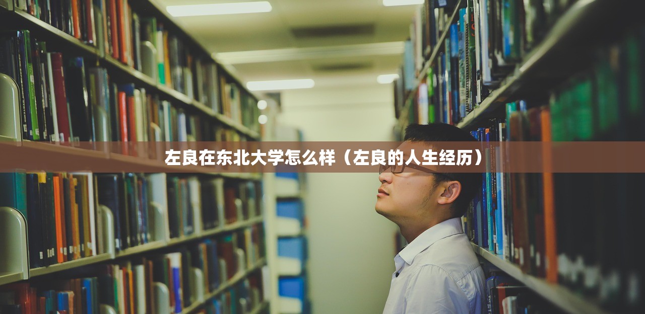 左良在东北大学怎么样(左良的人生经历) 左良在东北大学怎么样(左良的人生经历)