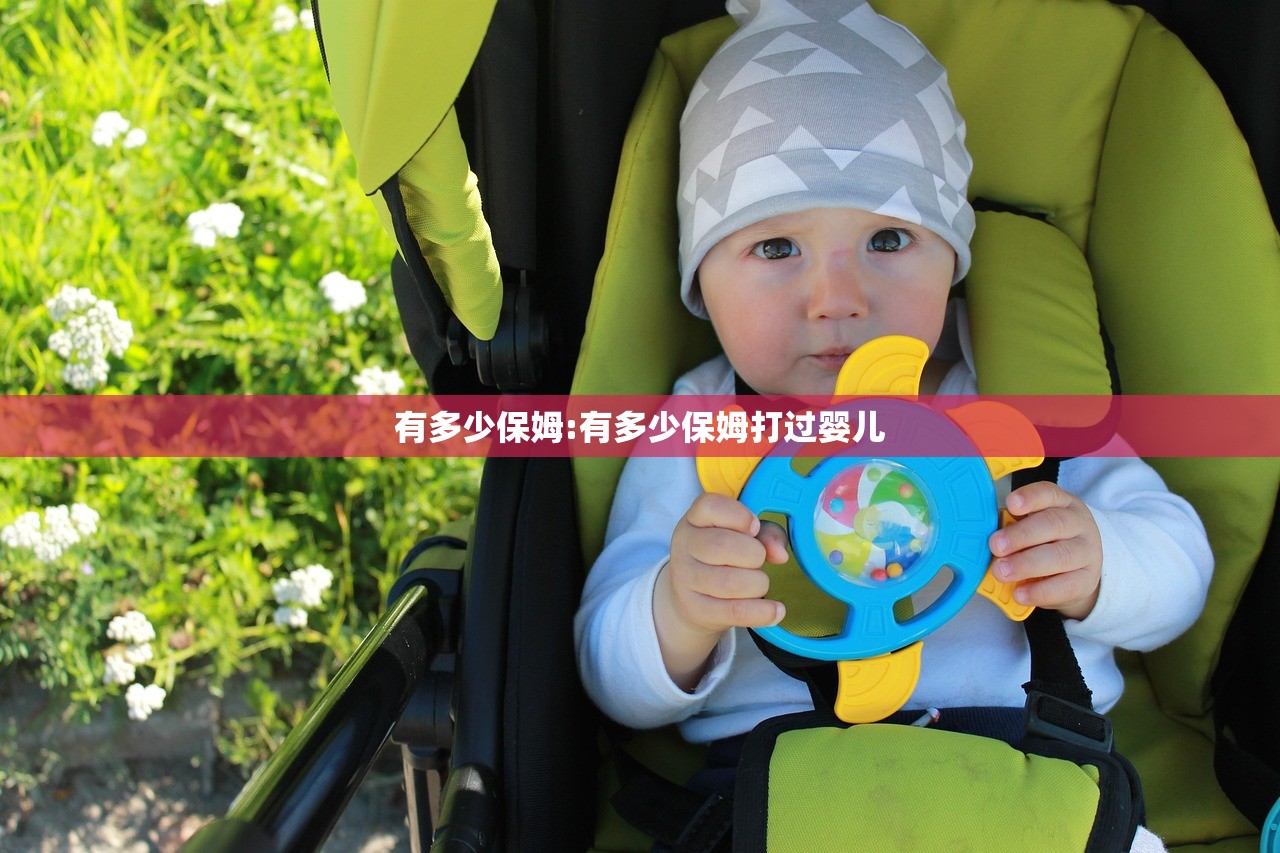 有多少保姆:有多少保姆打过婴儿 有多少保姆:有多少保姆打过婴儿