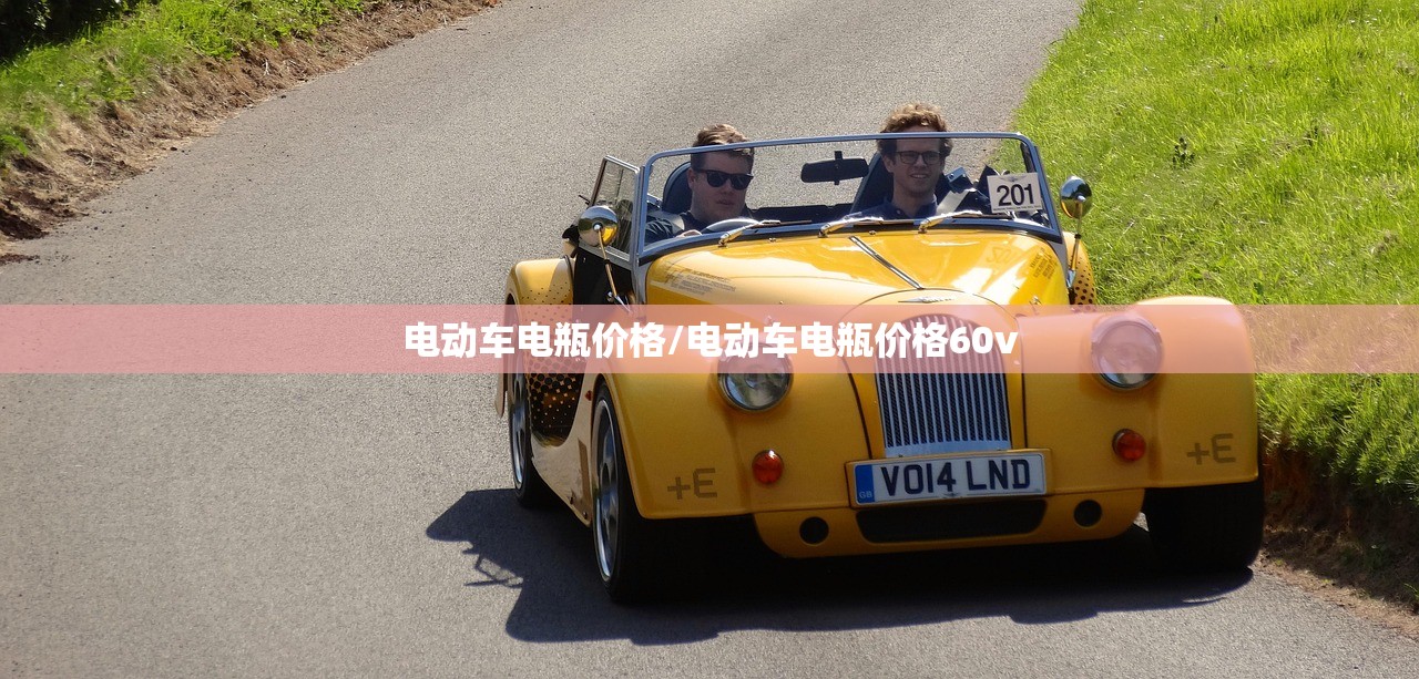 电动车电瓶价格/电动车电瓶价格60v 电动车电瓶价格/电动车电瓶价格60v