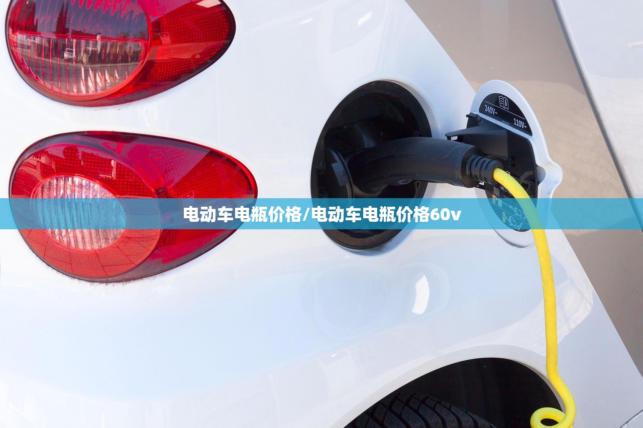 电动车电瓶价格/电动车电瓶价格60v 电动车电瓶价格/电动车电瓶价格60v