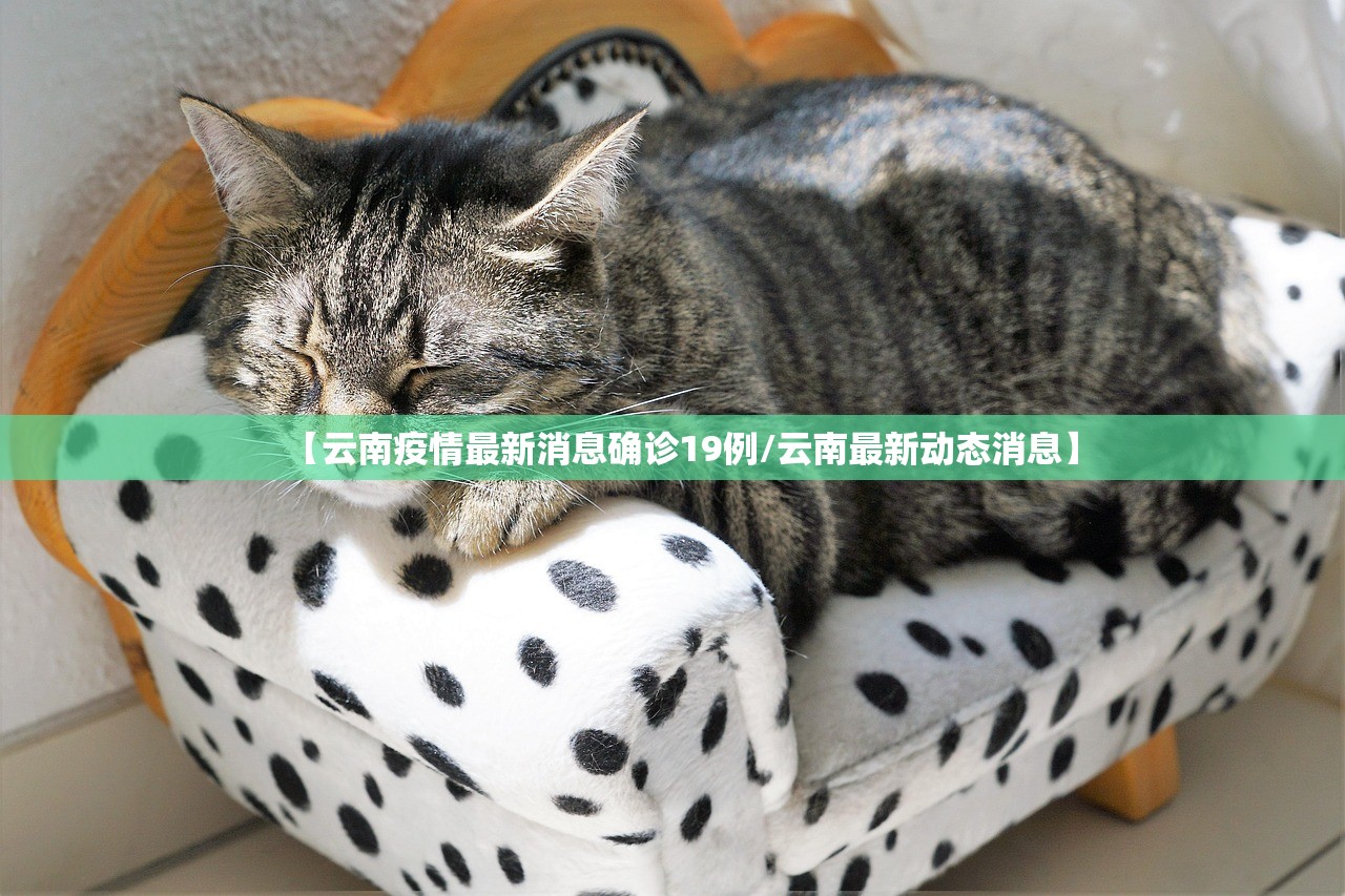 【云南疫情最新消息确诊19例/云南最新动态消息】 【云南疫情最新消息确诊19例/云南最新动态消息】