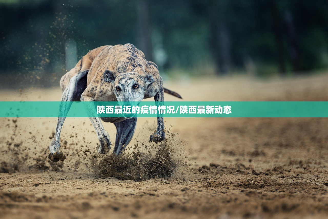 陕西最近的疫情情况/陕西最新动态 陕西最近的疫情情况/陕西最新动态