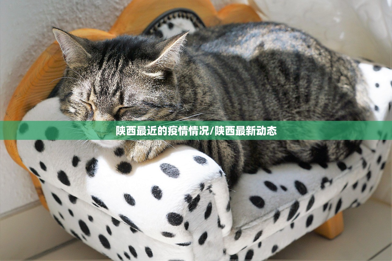 陕西最近的疫情情况/陕西最新动态 陕西最近的疫情情况/陕西最新动态