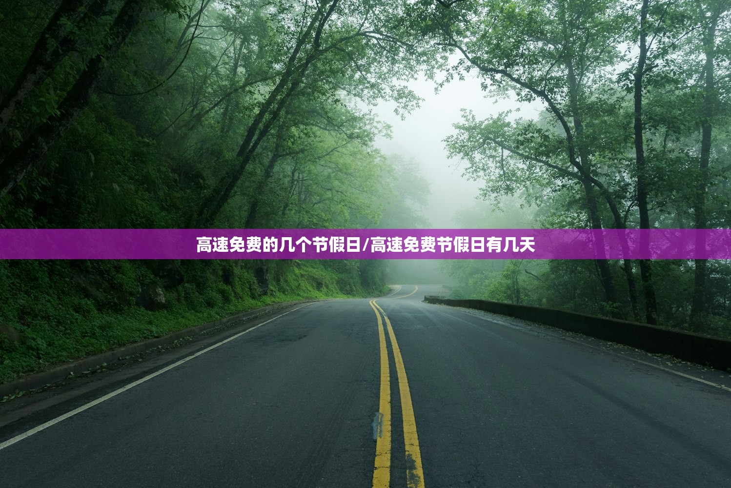 高速免费的几个节假日/高速免费节假日有几天 高速免费的几个节假日/高速免费节假日有几天