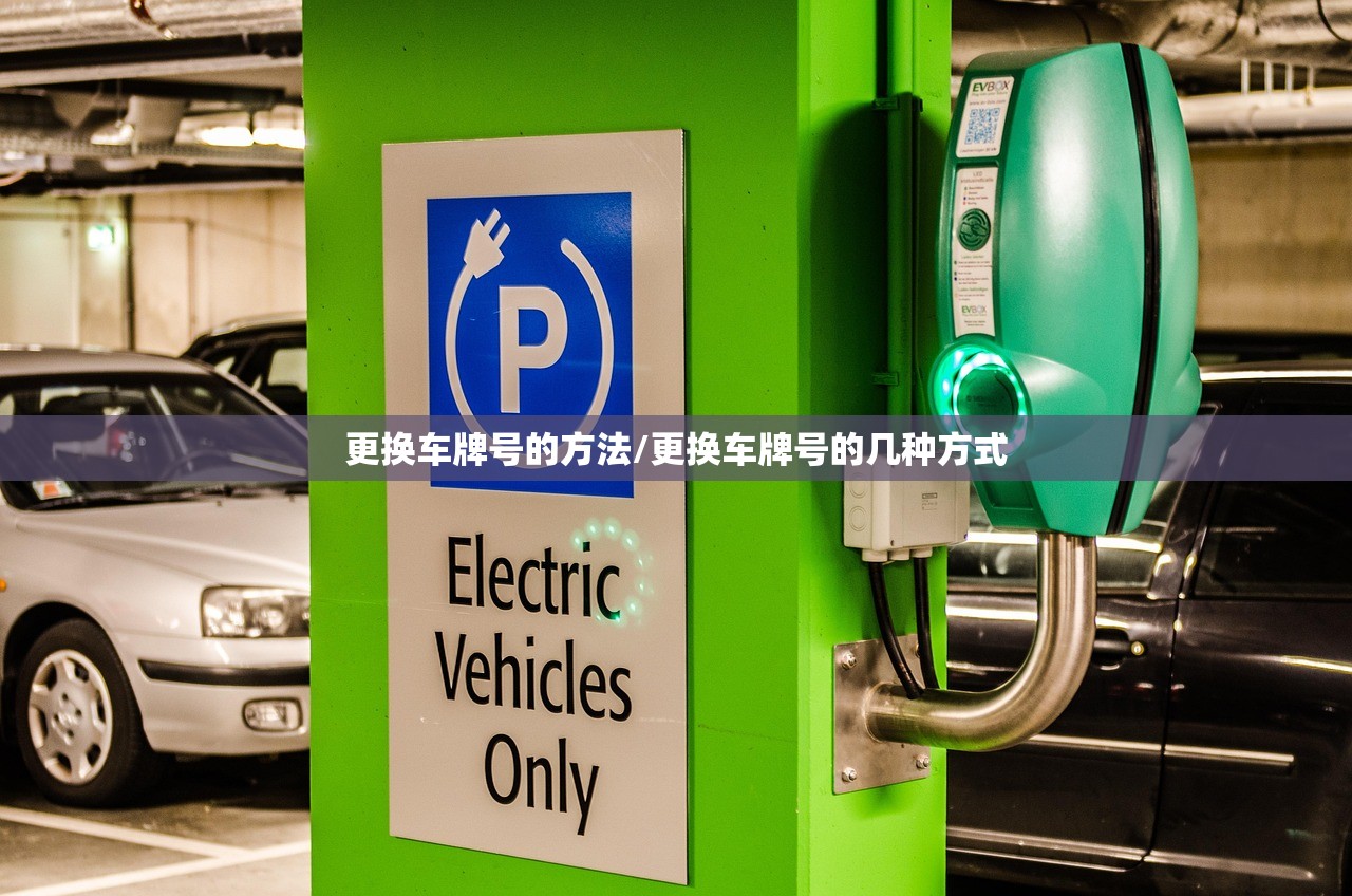 更换车牌号的方法/更换车牌号的几种方式 更换车牌号的方法/更换车牌号的几种方式