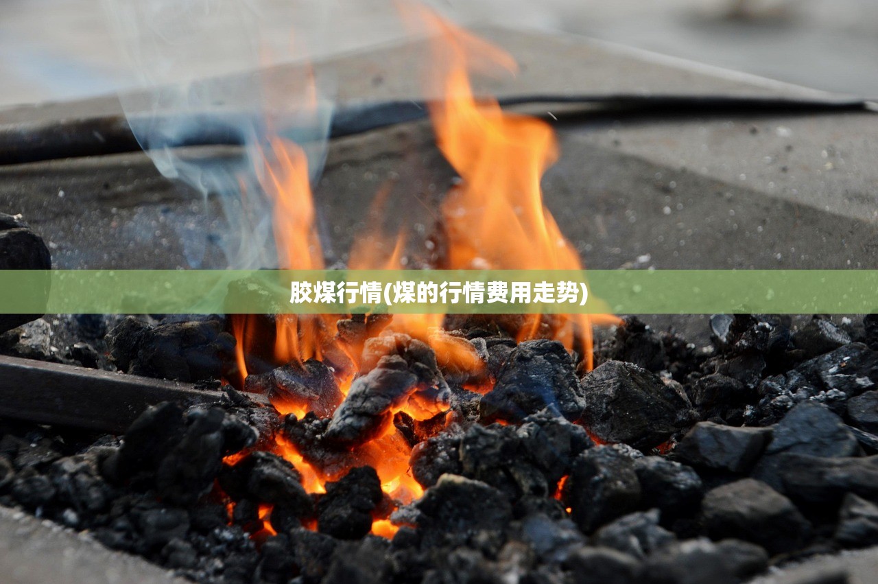 胶煤行情(煤的行情费用走势)