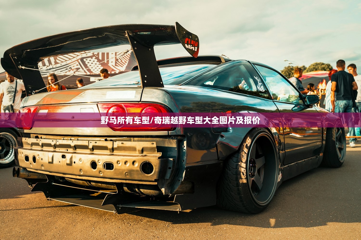 野马所有车型/奇瑞越野车型大全图片及报价