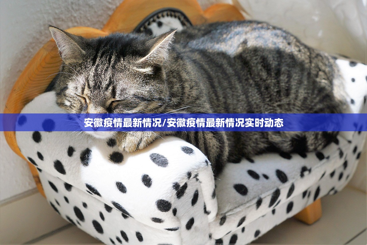 安徽疫情最新情况/安徽疫情最新情况实时动态