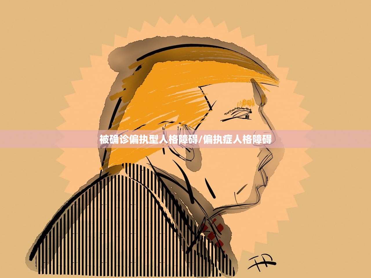 被确诊偏执型人格障碍/偏执症人格障碍