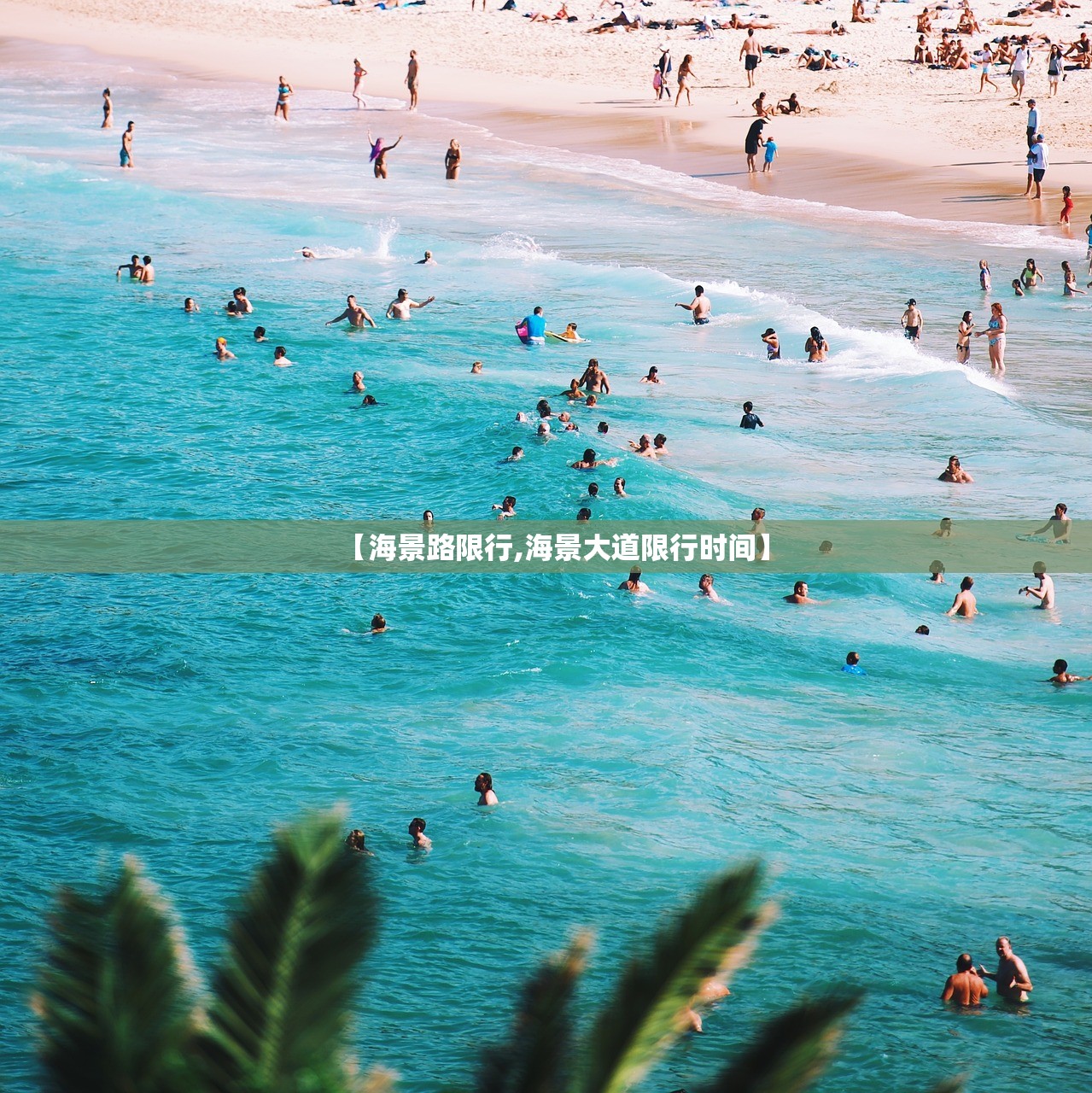【海景路限行,海景大道限行时间】
