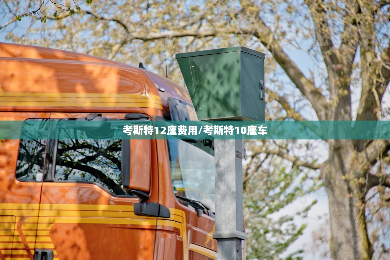 考斯特12座费用/考斯特10座车