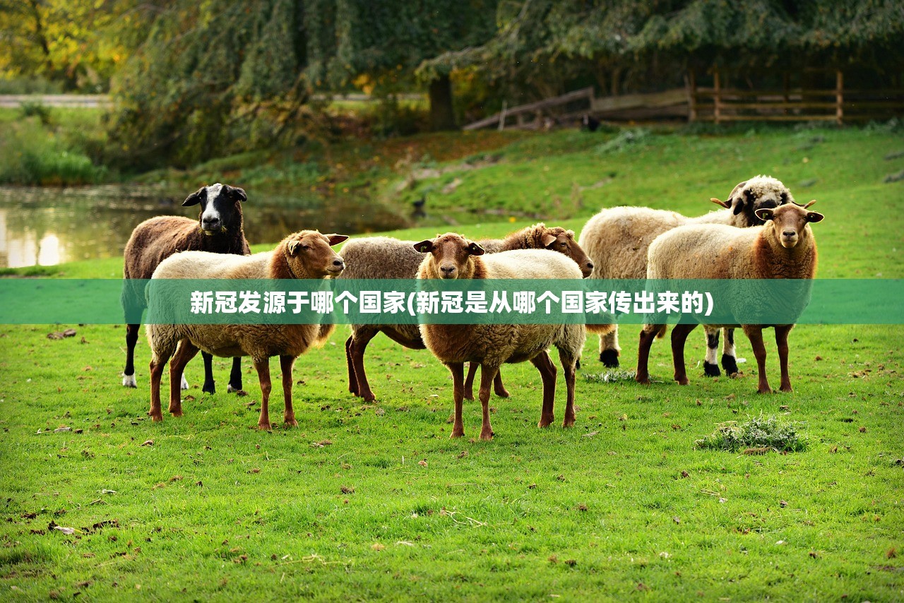 新冠发源于哪个国家(新冠是从哪个国家传出来的)