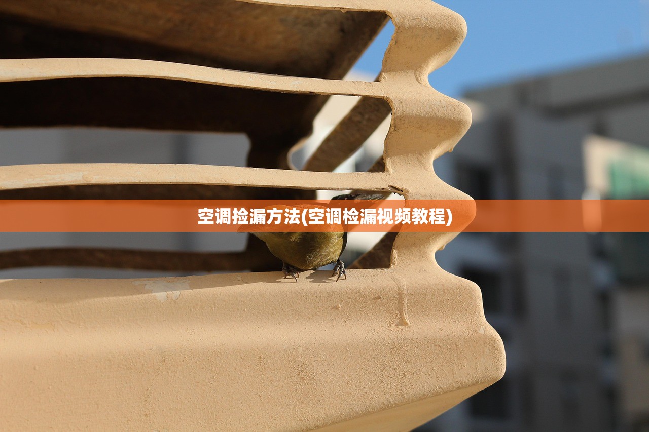 空调捡漏方法(空调检漏视频教程)