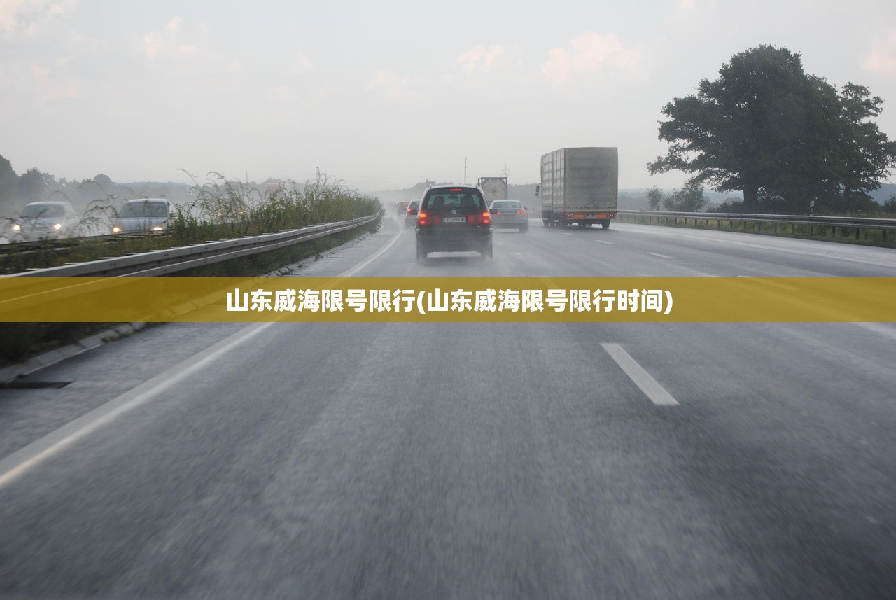 山东威海限号限行(山东威海限号限行时间)
