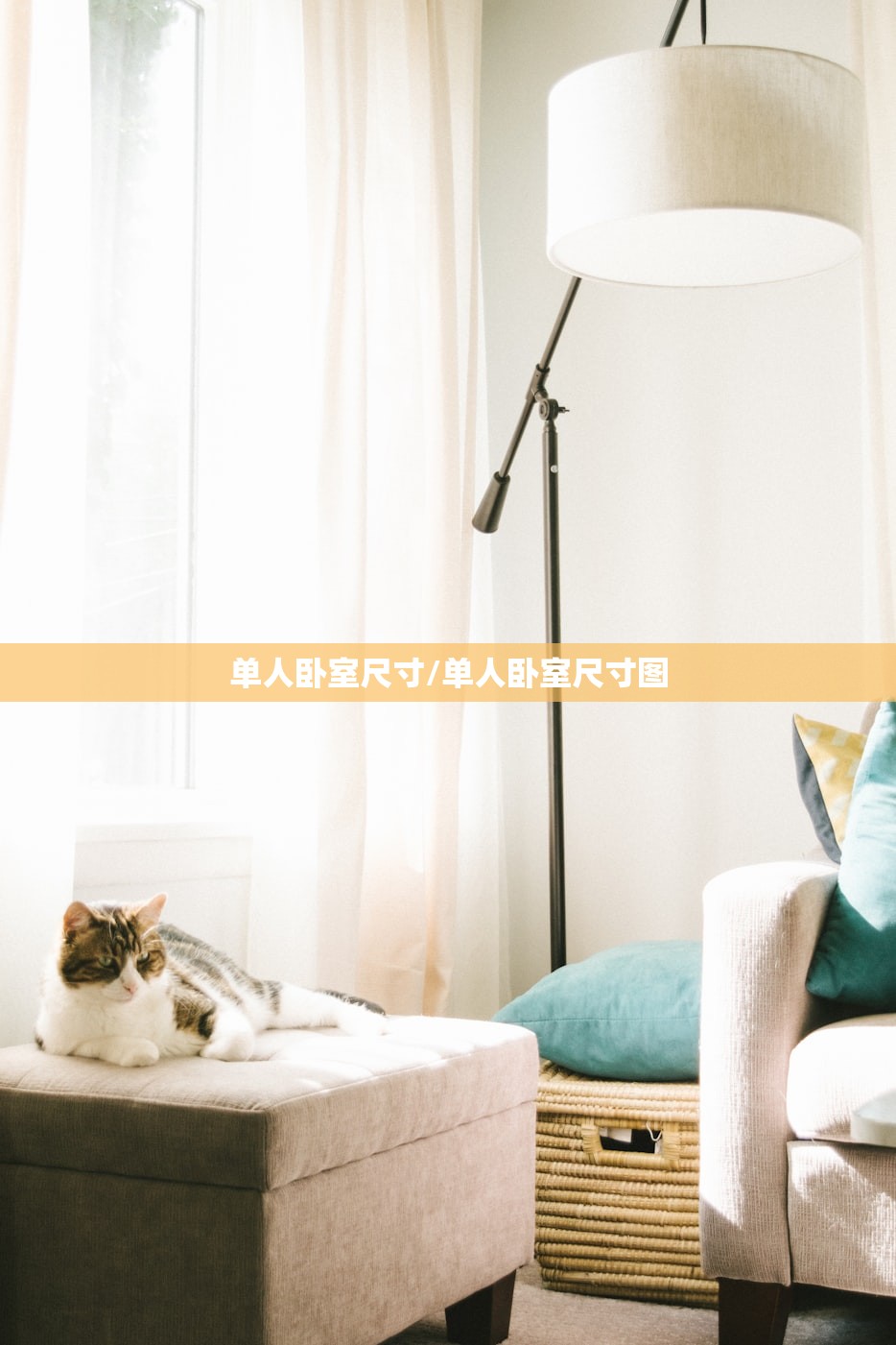 单人卧室尺寸/单人卧室尺寸图