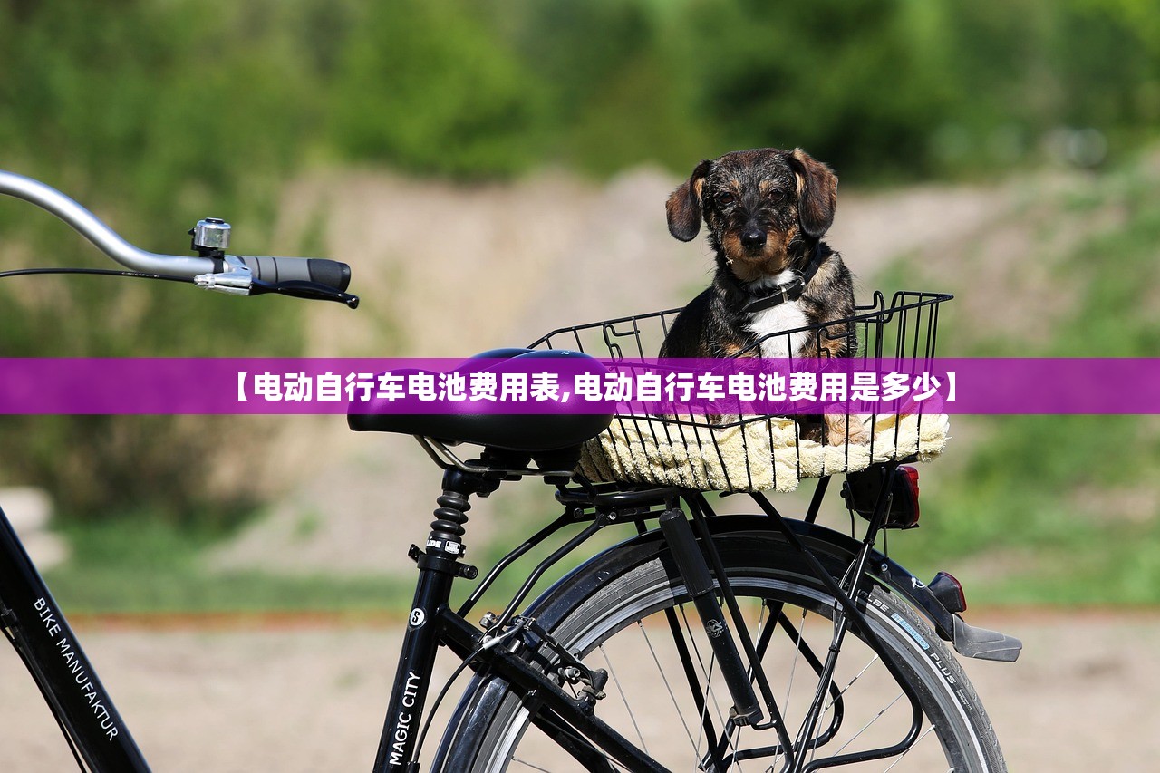 【电动自行车电池费用表,电动自行车电池费用是多少】
