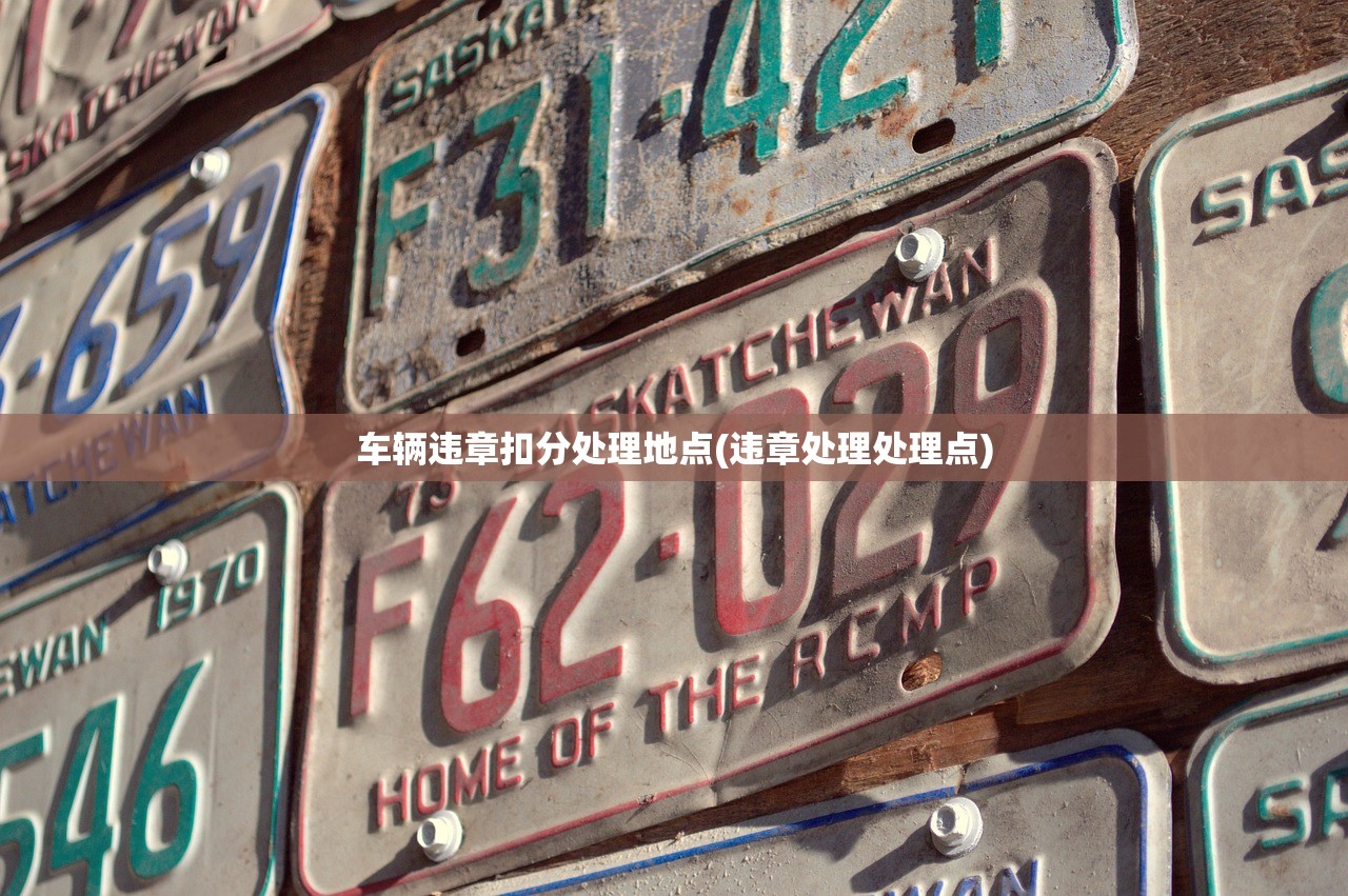 车辆违章扣分处理地点(违章处理处理点) 车辆违章扣分处理地点(违章处理处理点)