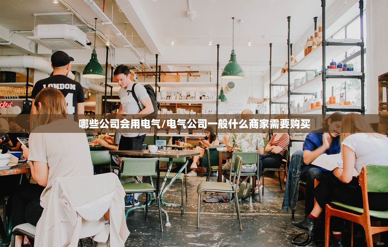 哪些公司会用电气/电气公司一般什么商家需要购买