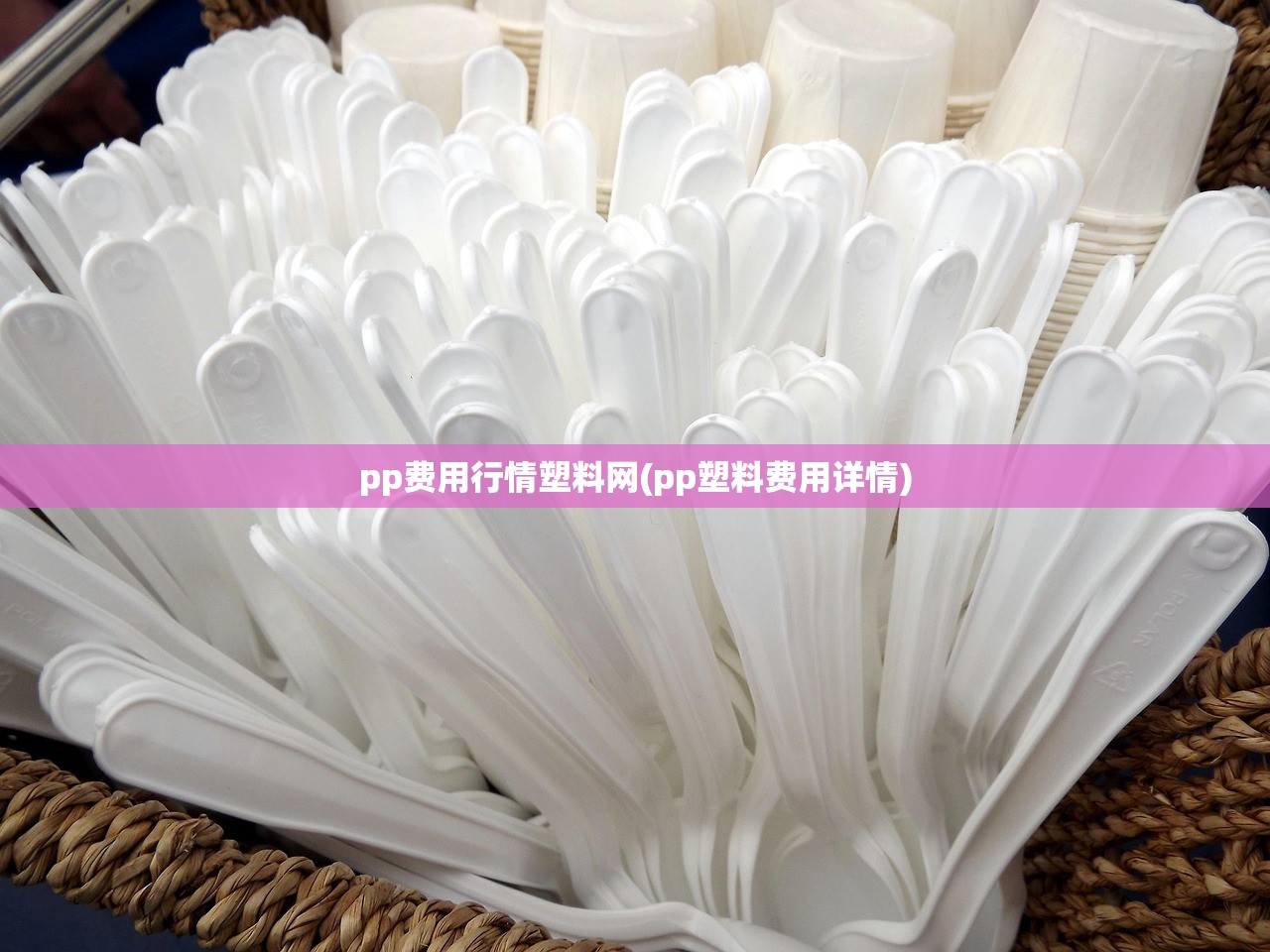 pp费用行情塑料网(pp塑料费用详情)