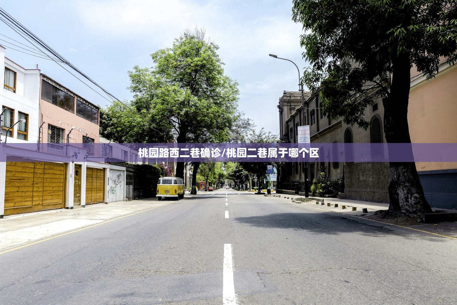 桃园路西二巷确诊/桃园二巷属于哪个区