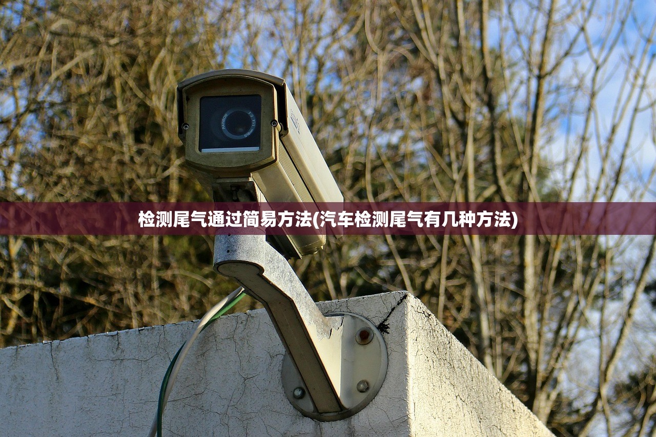 检测尾气通过简易方法(汽车检测尾气有几种方法)