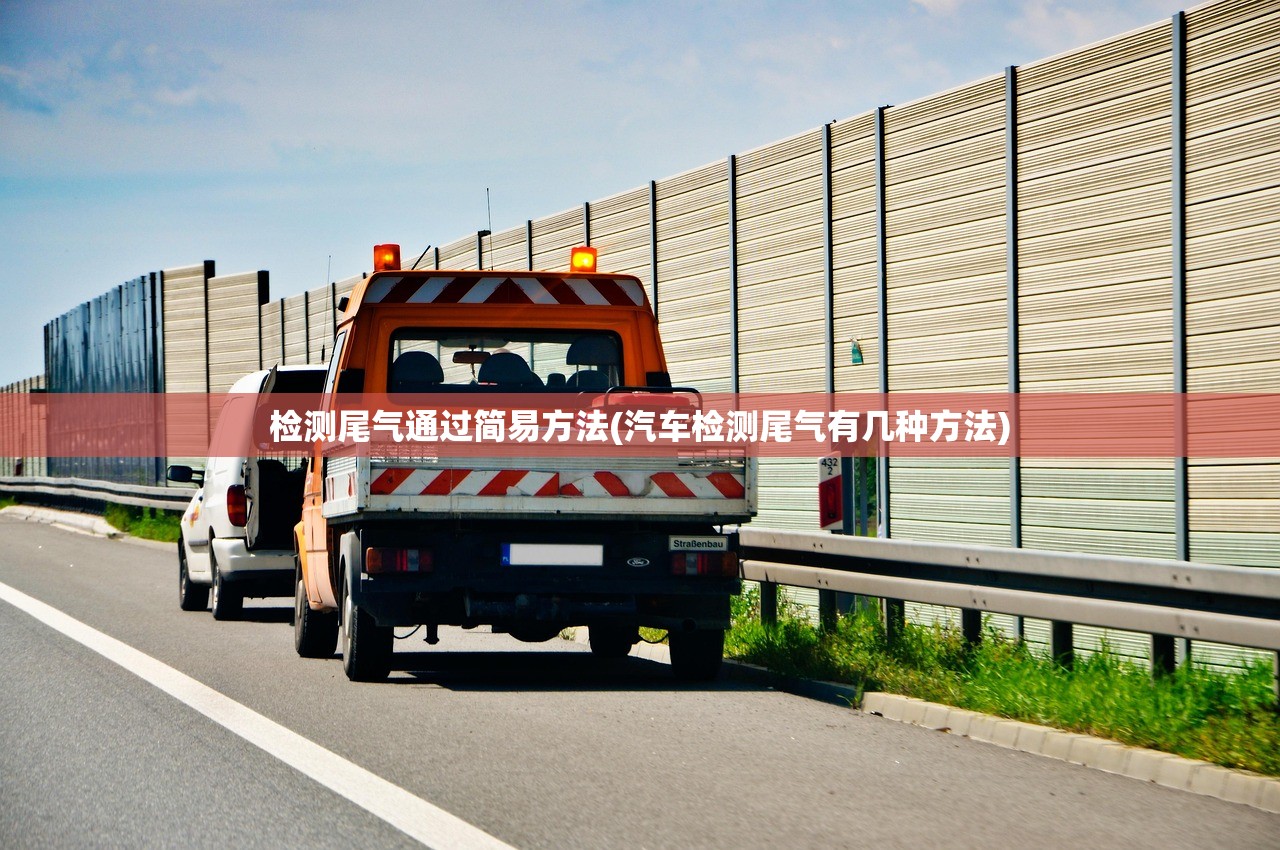 检测尾气通过简易方法(汽车检测尾气有几种方法)