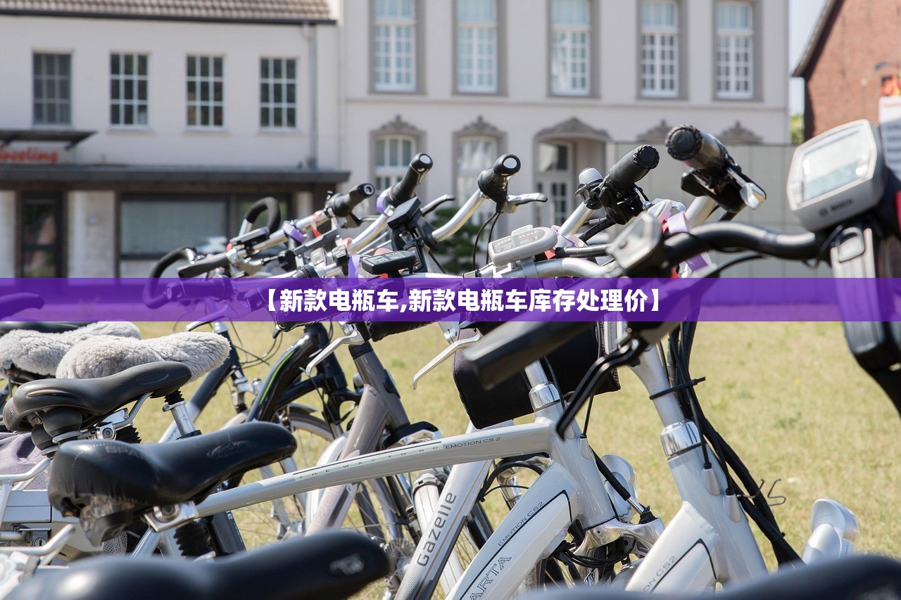 【新款电瓶车,新款电瓶车库存处理价】