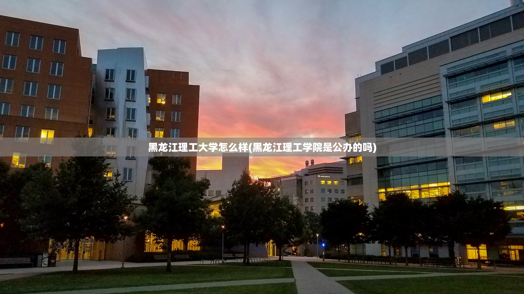 黑龙江理工大学怎么样(黑龙江理工学院是公办的吗)
