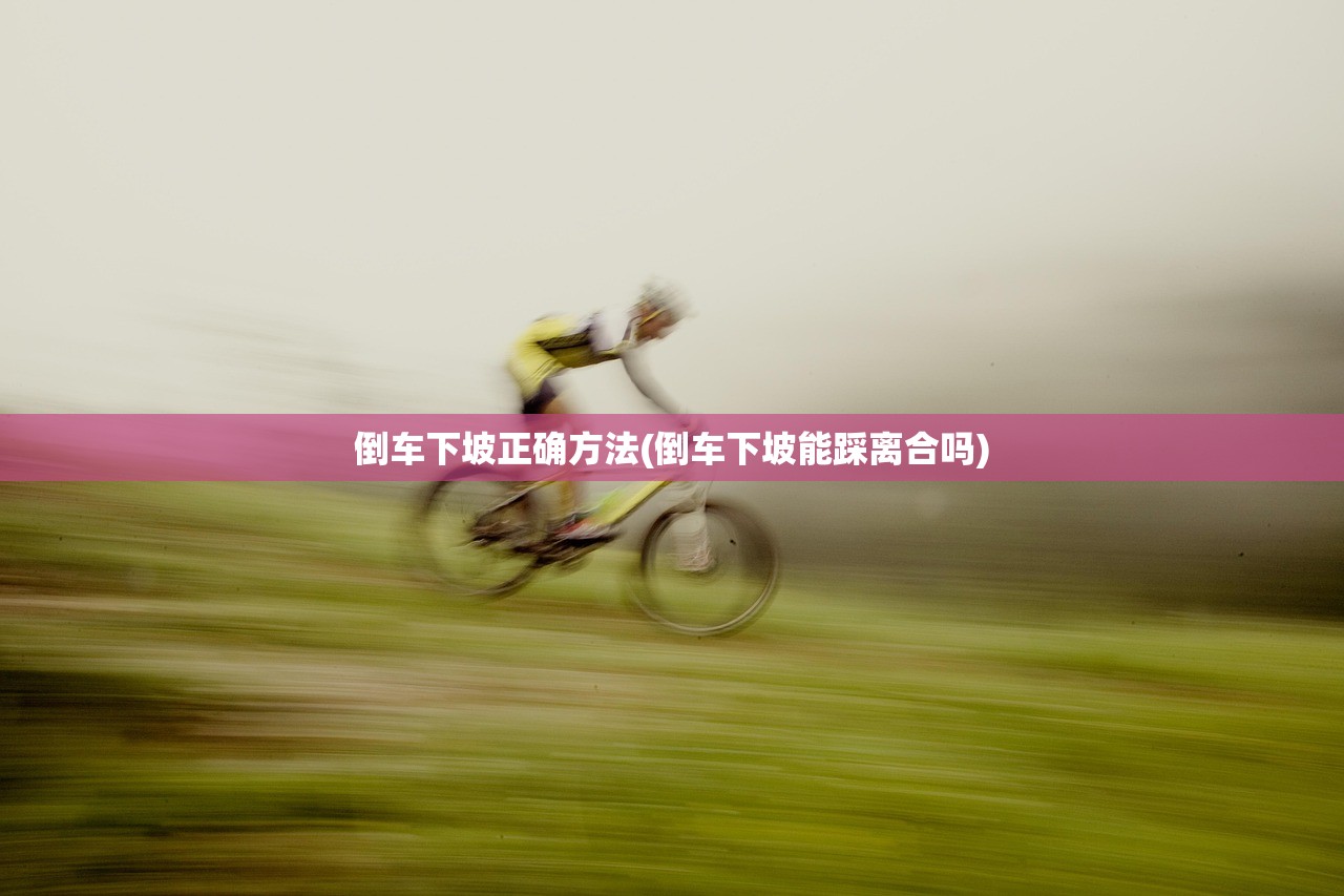 倒车下坡正确方法(倒车下坡能踩离合吗)