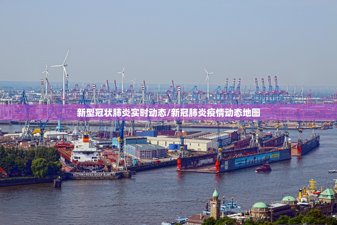 新型冠状肺炎实时动态/新冠肺炎疫情动态地图